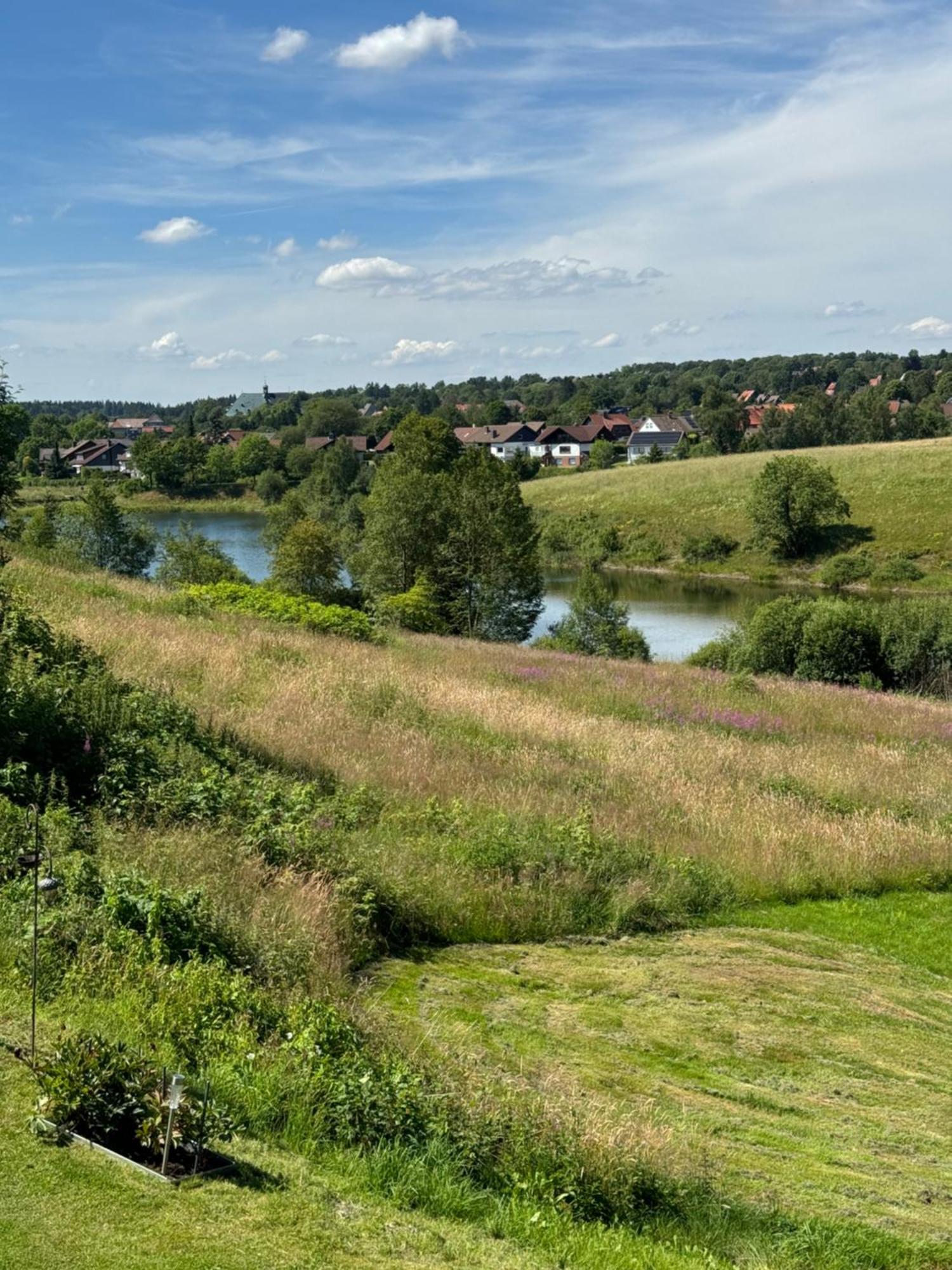 Appartement Max Clausthal-Zellerfeld Zewnętrze zdjęcie