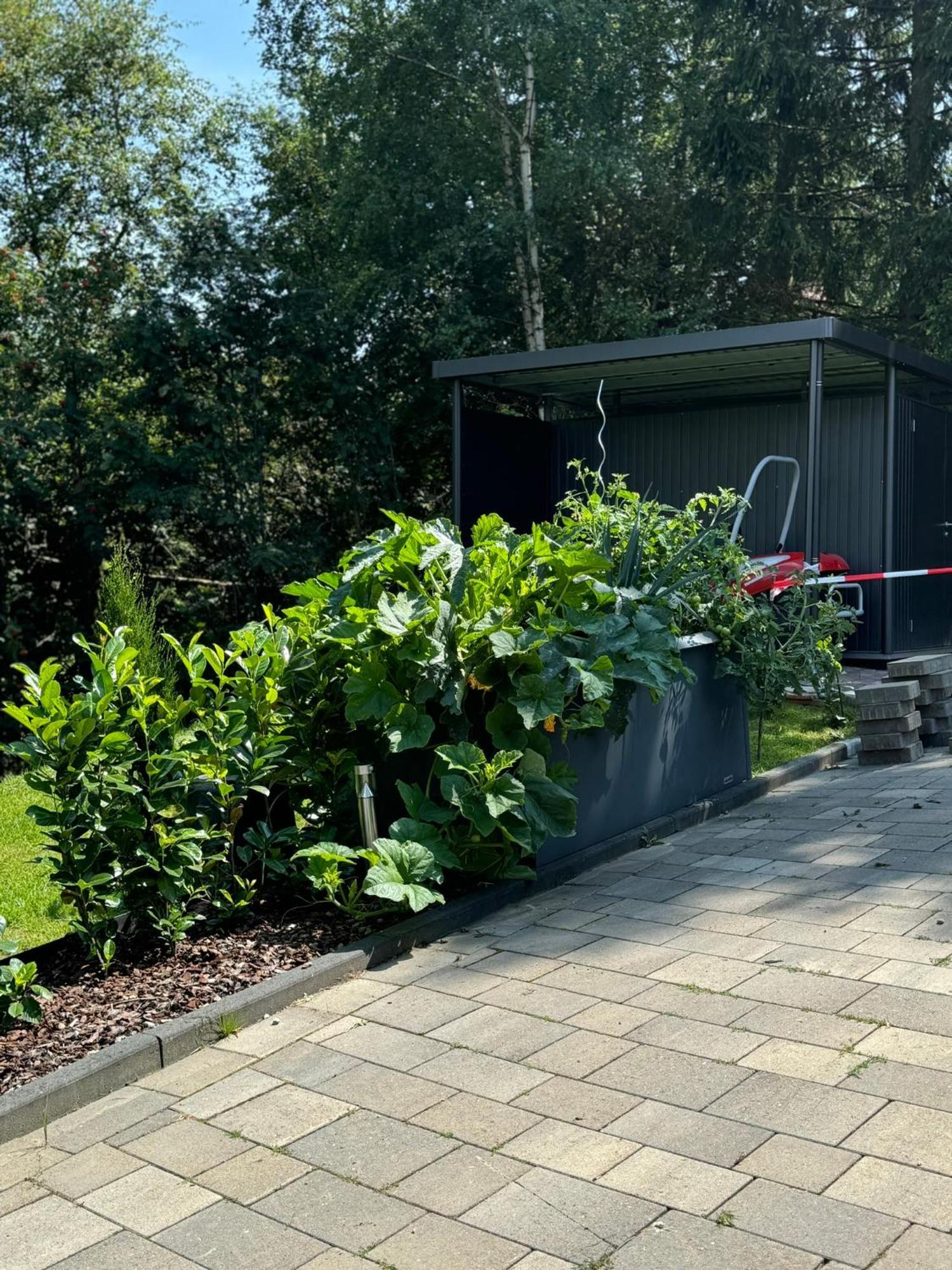 Appartement Max Clausthal-Zellerfeld Zewnętrze zdjęcie