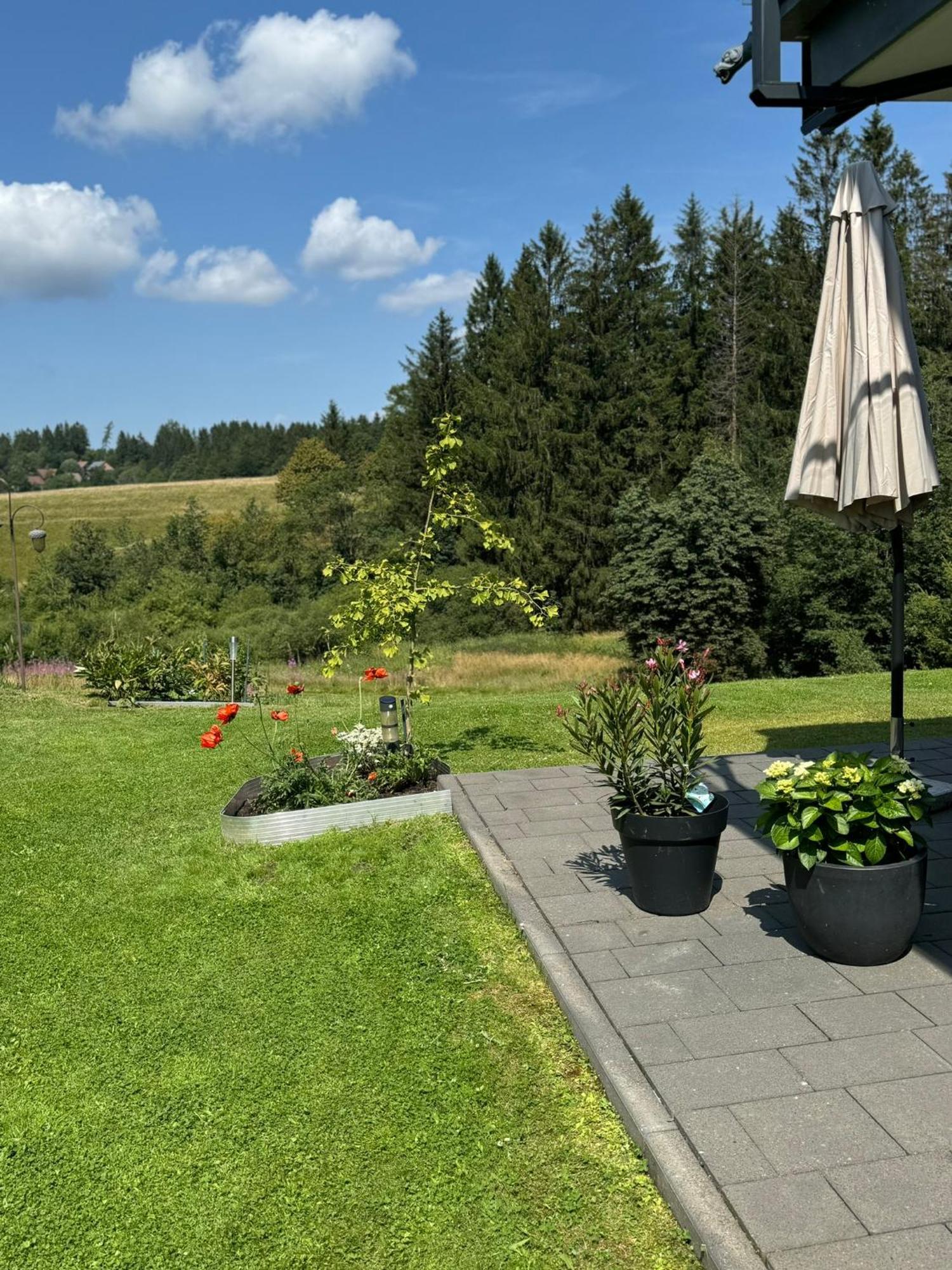 Appartement Max Clausthal-Zellerfeld Zewnętrze zdjęcie